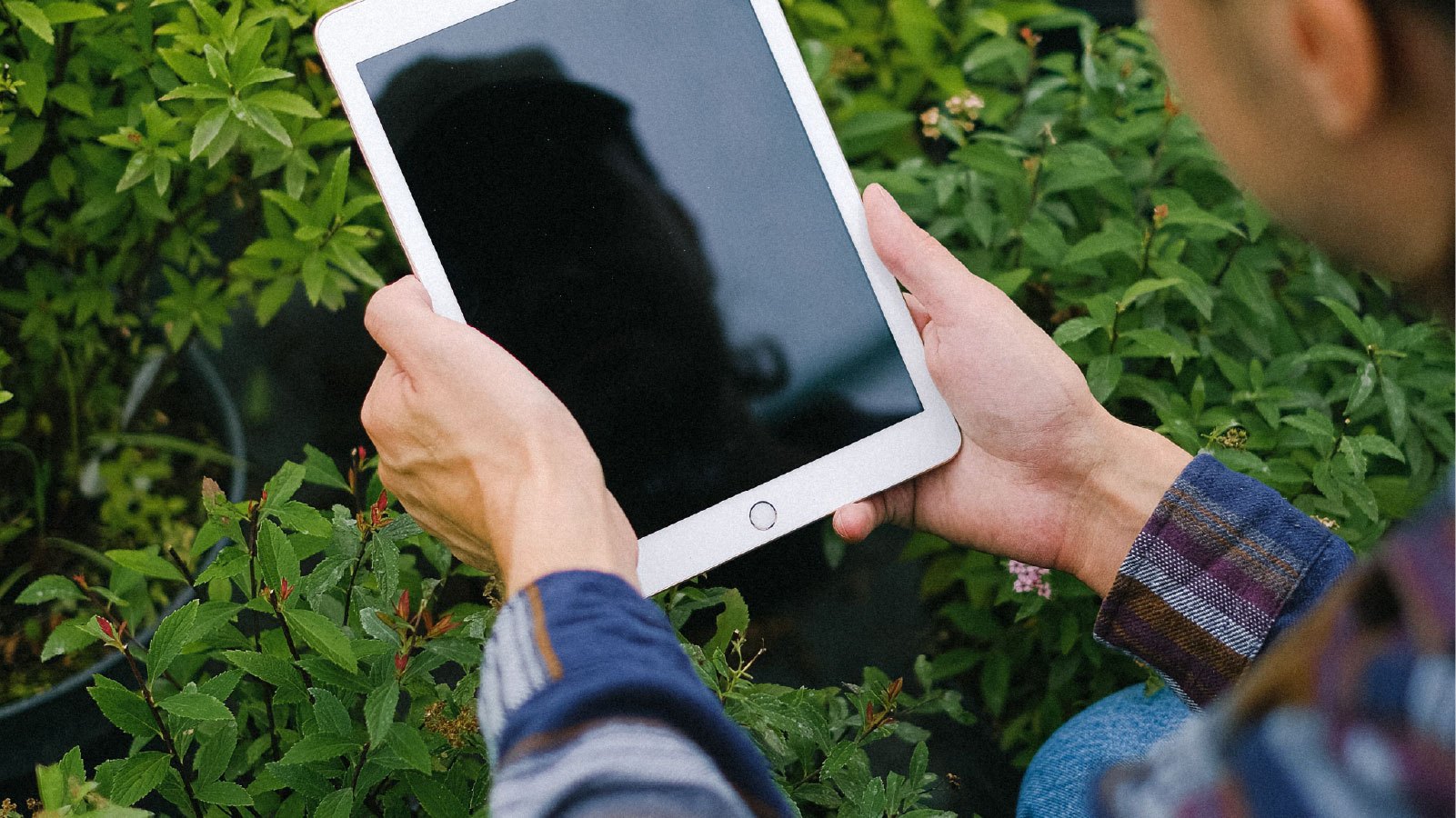 A loss adjuster using a mobile app in the field to capture crop insurance data with GPS location tracking